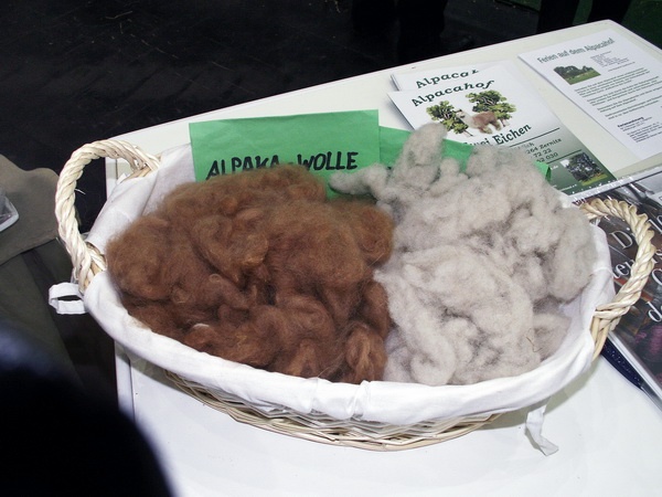 Heimtiermesse 2009   096.jpg - KONICA MINOLTA DIGITAL CAMERA